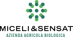 Miceli & Sensat