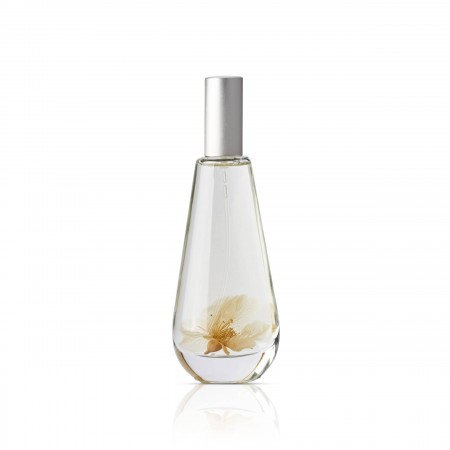 Eau de Cologne von Hierbas de Mallorca