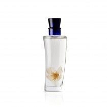 Eau de Cologne von Hierbas de Mallorca