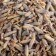 Bio - Lavendel - Peñarrubia del Alto Guadiana - 100g Detail