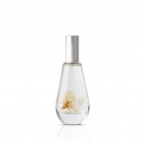 Eau de Cologne von Hierbas de Mallorca